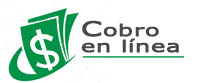 plataforma de cobros en linea